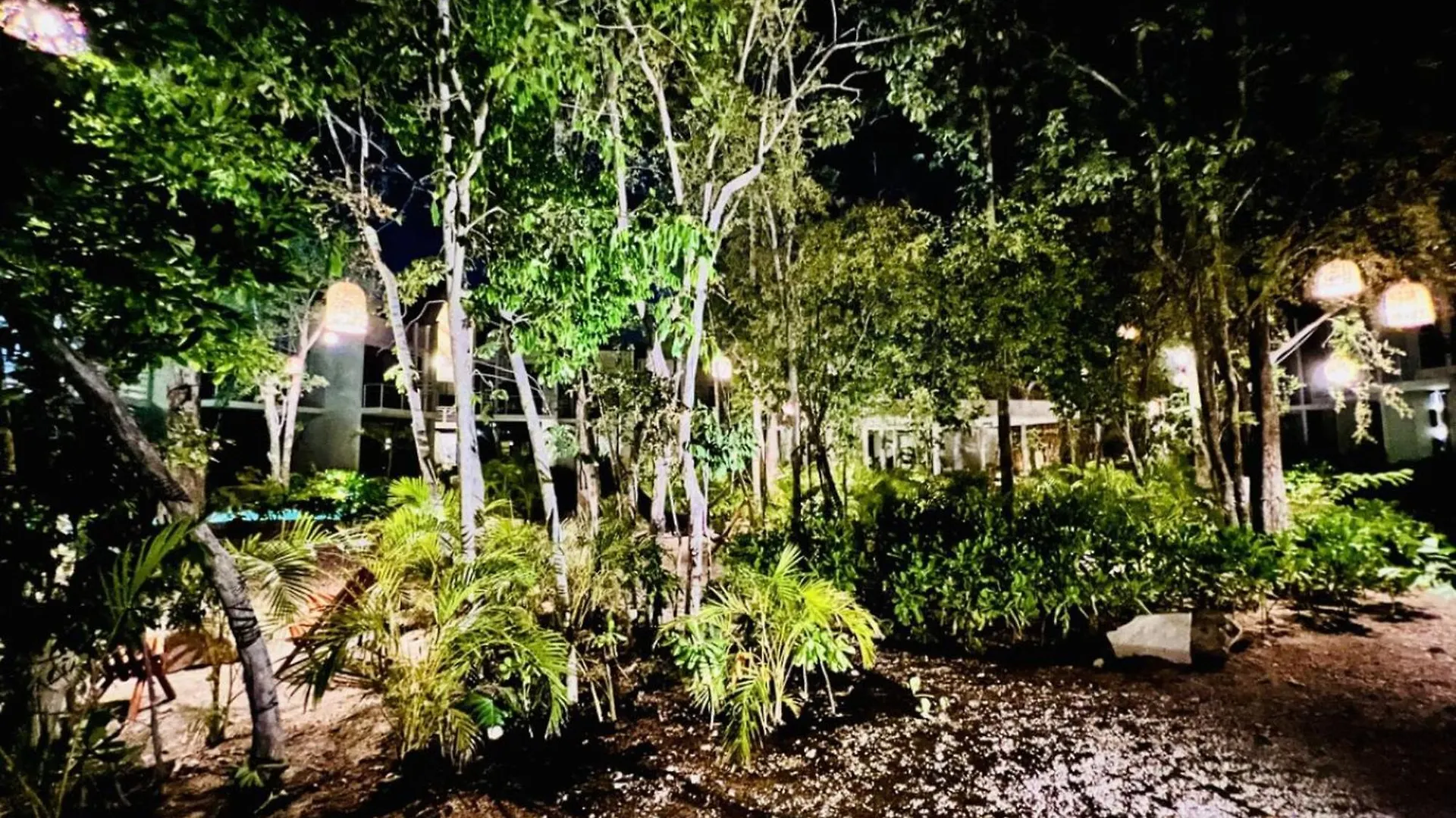 301 Seremonia Selva Private Pool New Apartment King Size Wifi Tulum